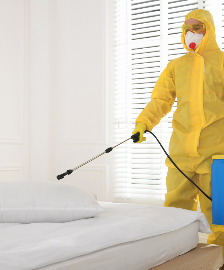Professional Pest Control Team in Kidman Park